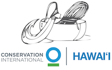 CI Hawaii Logo
